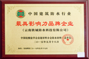 The most influential brand enterprise in China's building waterproofing industry