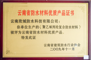 Hubei Chamber of Commerce Xincheng Waterproof Technology Co., Ltd. in Yunnan Province advanced grassroots party organization of the party branch